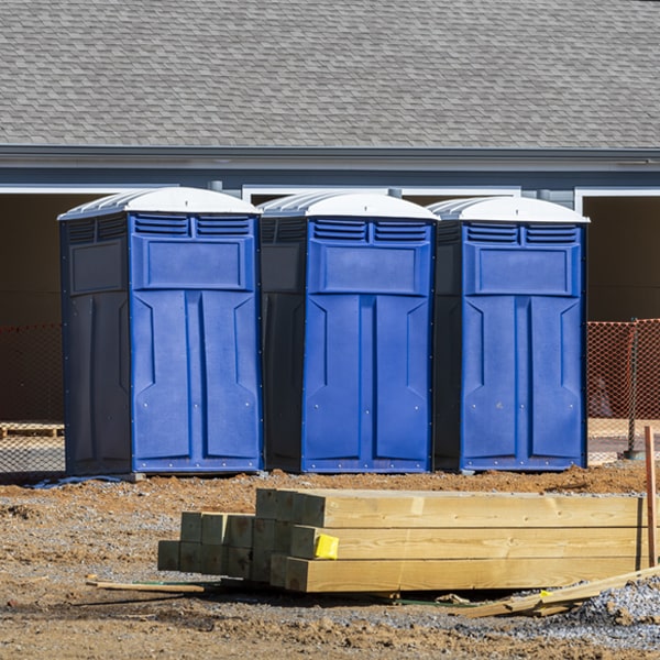 do you offer hand sanitizer dispensers inside the portable restrooms in Brandonville